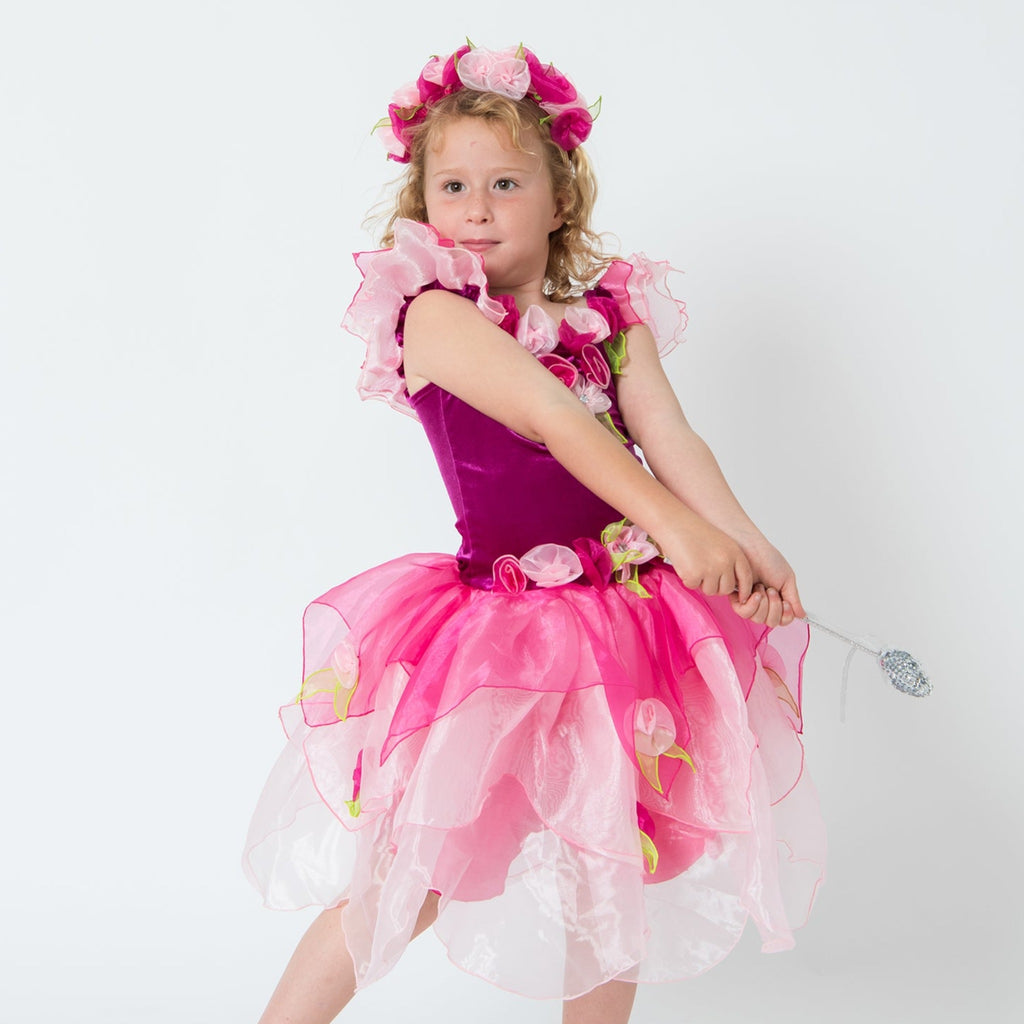rose fairy dress Garden Rose