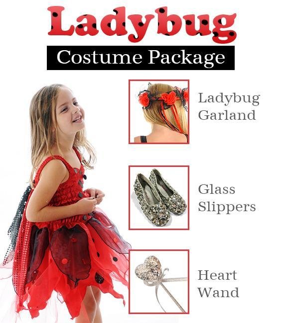 Ladybug Costume Package