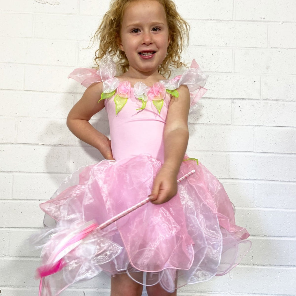 Wish Fairy Dress + Wishing Wand | Dress up Clothes for Kids Wish Fairy Dress + Wishing Wand | Dress up Clothes for Kids